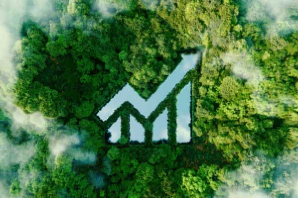 美的集团早盘涨逾3% 二季度营收利润保持双位数增长